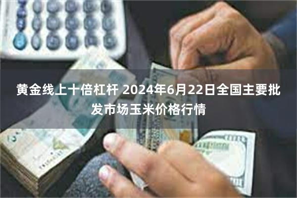 黄金线上十倍杠杆 2024年6月22日全国主要批发市场玉米价格行情