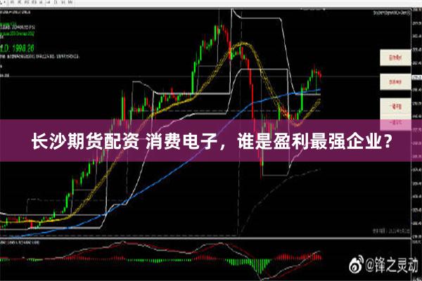 长沙期货配资 消费电子，谁是盈利最强企业？