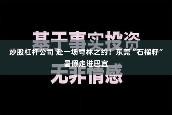 炒股杠杆公司 赴一场粤林之约！东莞“石榴籽”暑假走进巴宜