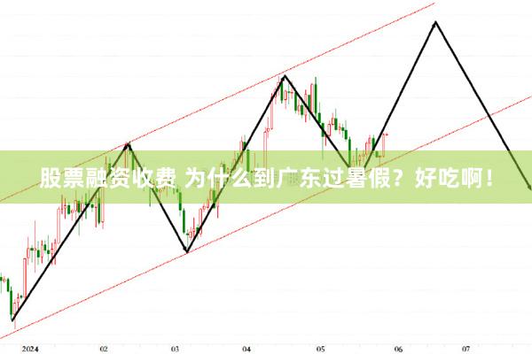 股票融资收费 为什么到广东过暑假？好吃啊！