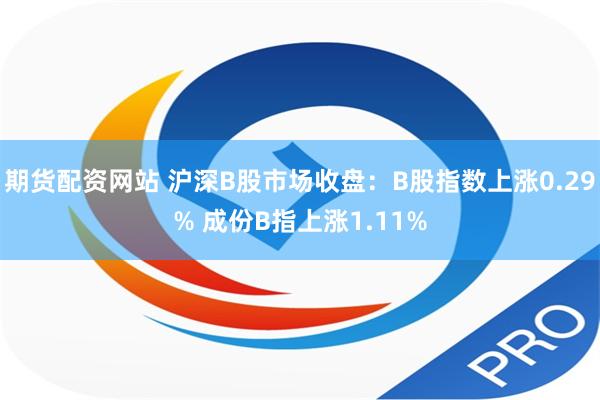 期货配资网站 沪深B股市场收盘：B股指数上涨0.29% 成份B指上涨1.11%