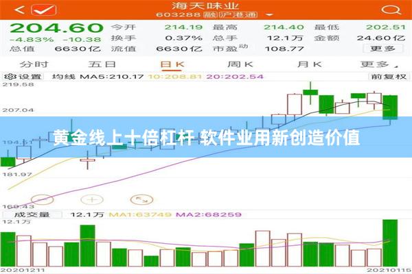 黄金线上十倍杠杆 软件业用新创造价值