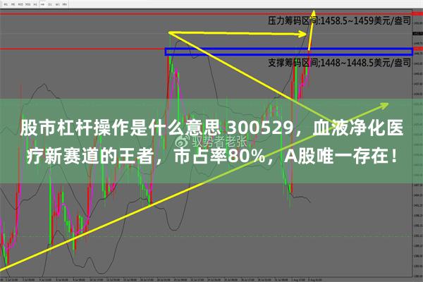 股市杠杆操作是什么意思 300529，血液净化医疗新赛道的王者，市占率80%，A股唯一存在！