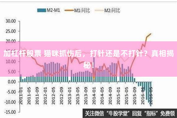 加杠杆股票 猫咪抓伤后，打针还是不打针？真相揭秘！