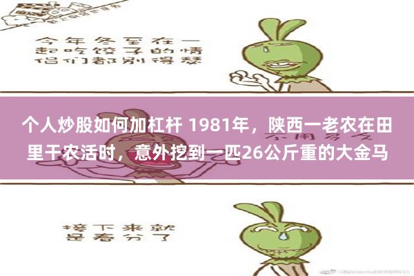 个人炒股如何加杠杆 1981年，陕西一老农在田里干农活时，意外挖到一匹26公斤重的大金马